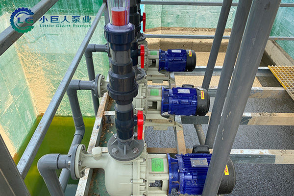 08_14_46_37_874ad026c412fd5176f416c4772a0819